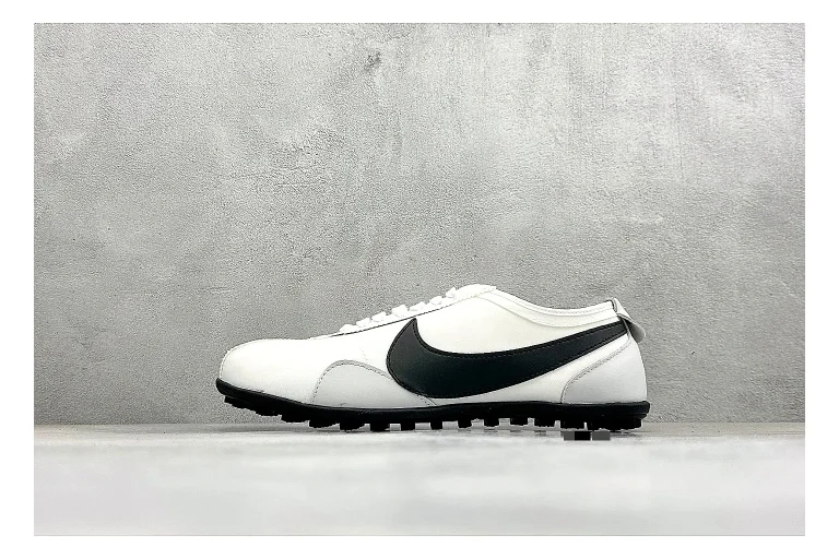 Nike Moon Shoe OG White Black Product Image